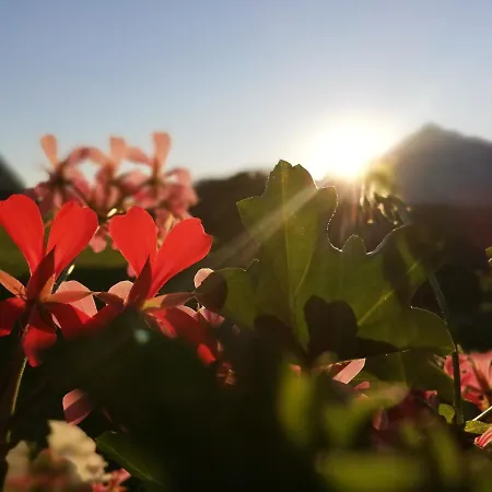 Gaestehaus Midi 里斯奥尔巴赫塔