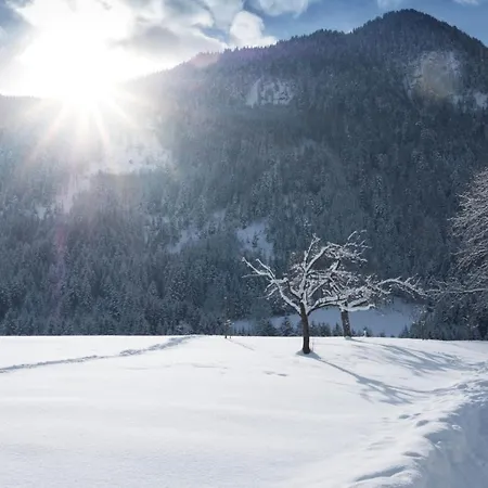 Gaestehaus Midi 3* 里斯奥尔巴赫塔