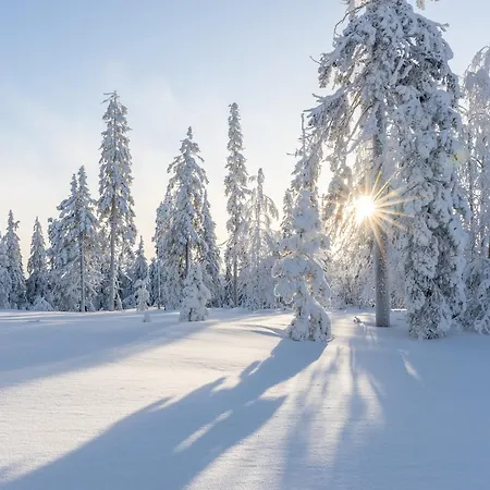 Gaestehaus Midi 3* 里斯奥尔巴赫塔