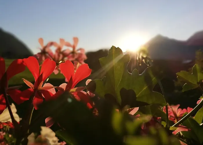 Gaestehaus Midi Reith im Alpbachtal